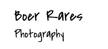Imagine Boer_Rares_Logo1.png